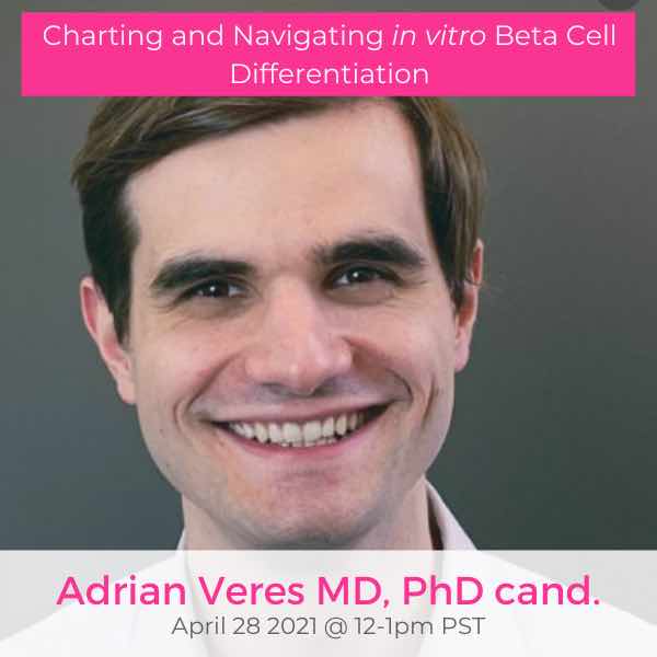 Charting and navigating in vitro beta cell differentiation Adrian Veres MD PhD candidate April 28 2021