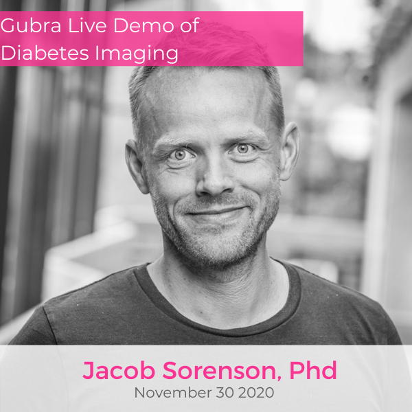 Gubra Live Demo of Diabetes Imaging, Jacob Sorenson, PhD November 30 2020